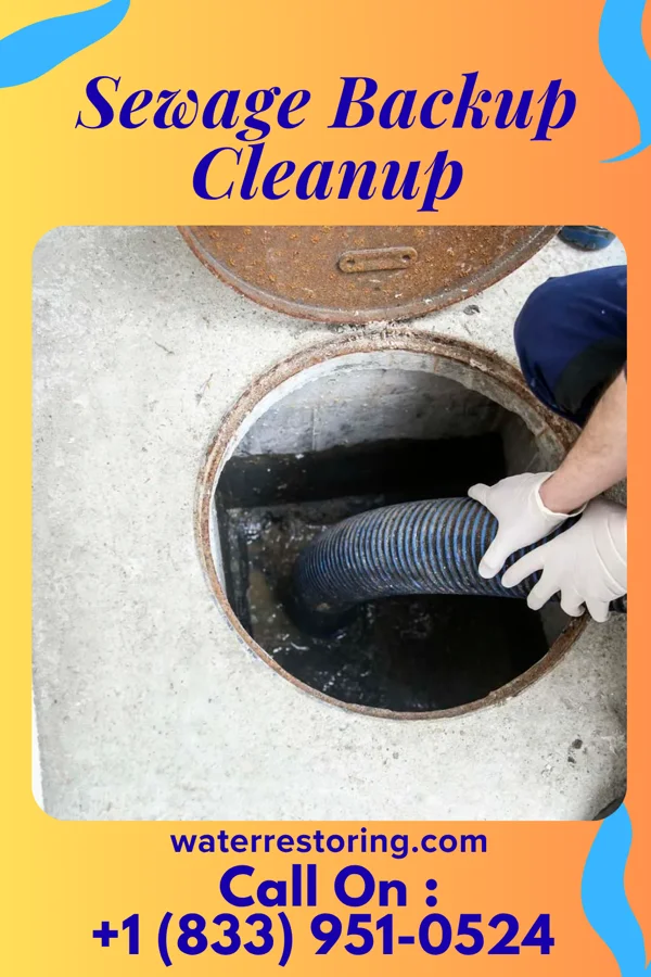 Sewage Backup Cleanup in Stanardsville, VA