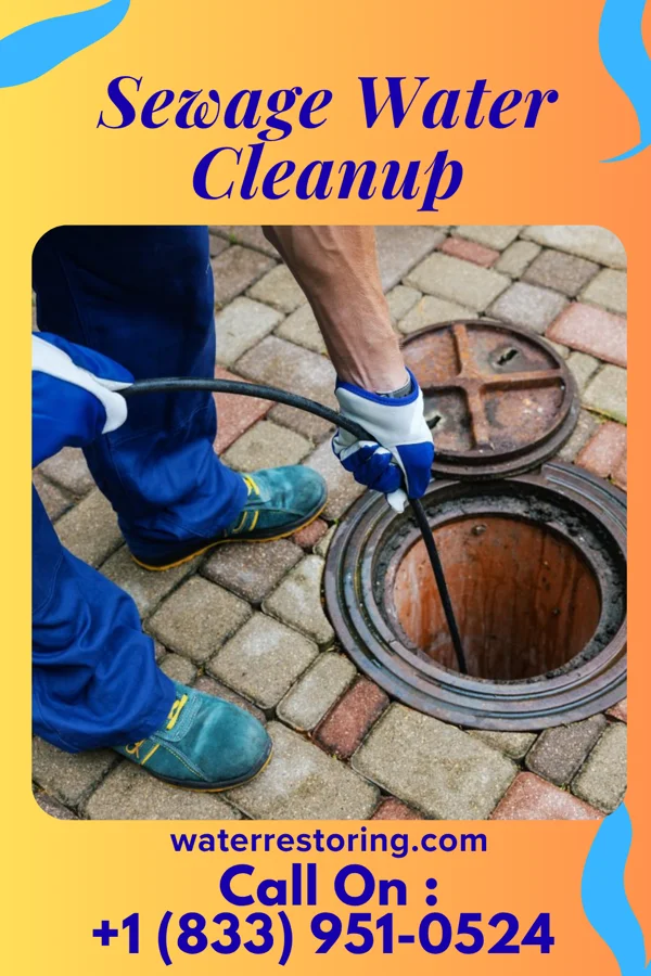 Sewage Water Cleanup in Stanardsville, VA
